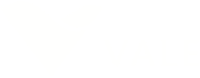 logo vale
