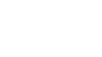 logo vivo