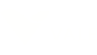 vale branco logo