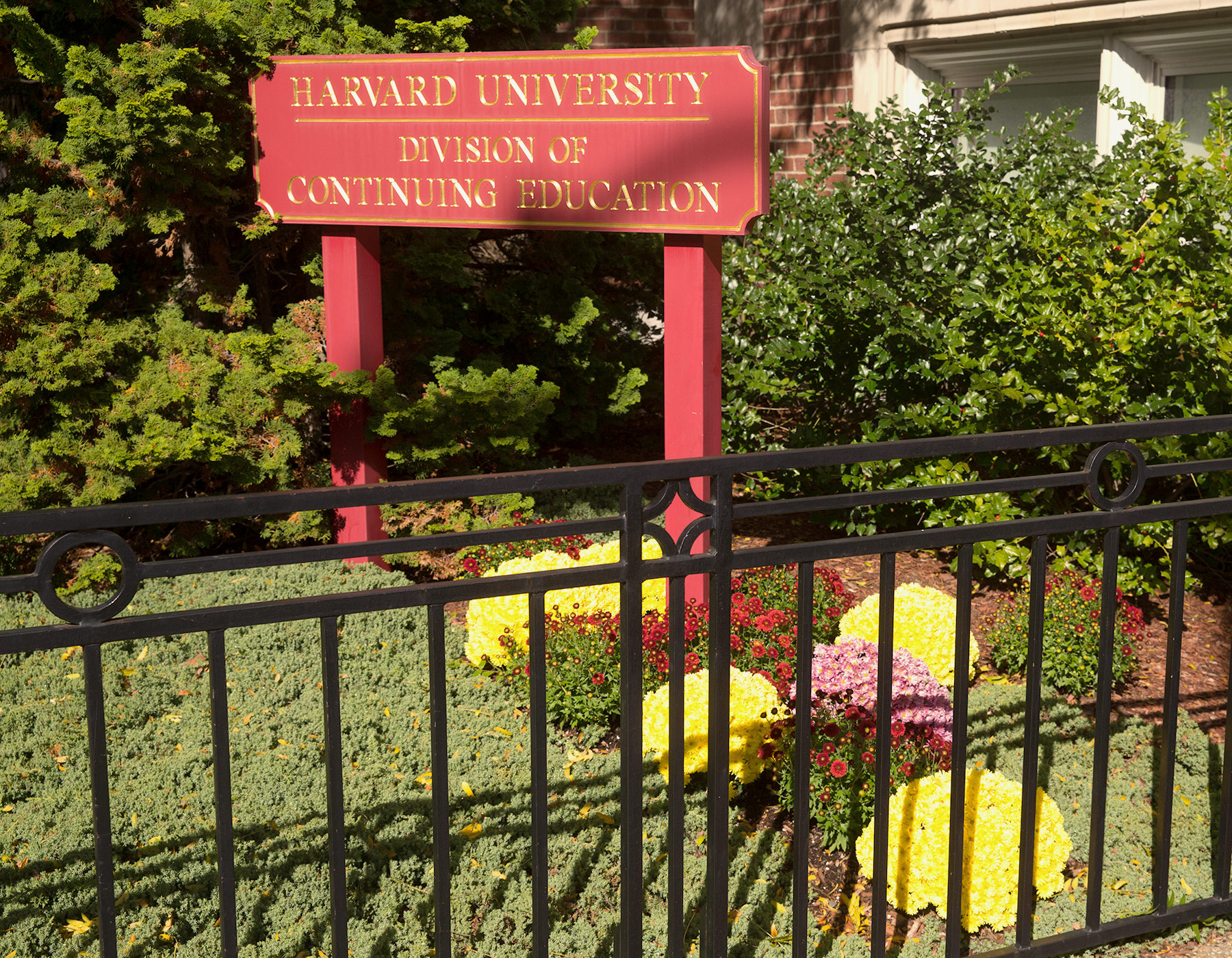 harvard university