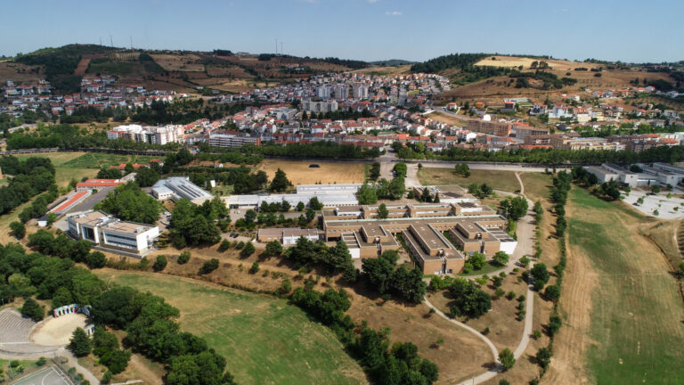 International Experience - Inteli - Institute of Technology and Leadership