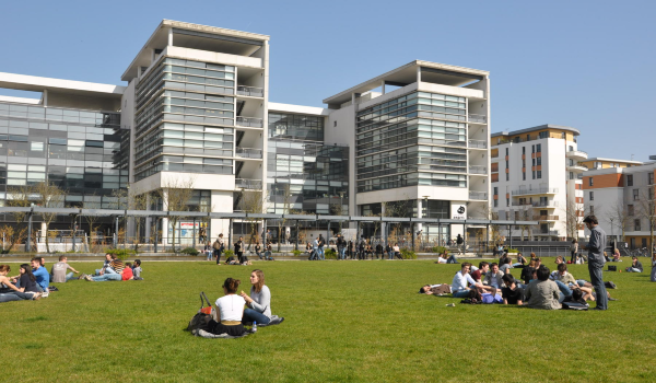 university